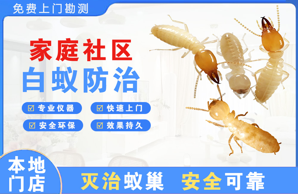 西昌家庭社区白蚁防治