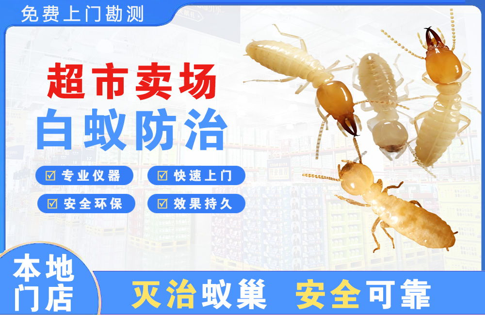 西昌超市卖场白蚁防治
