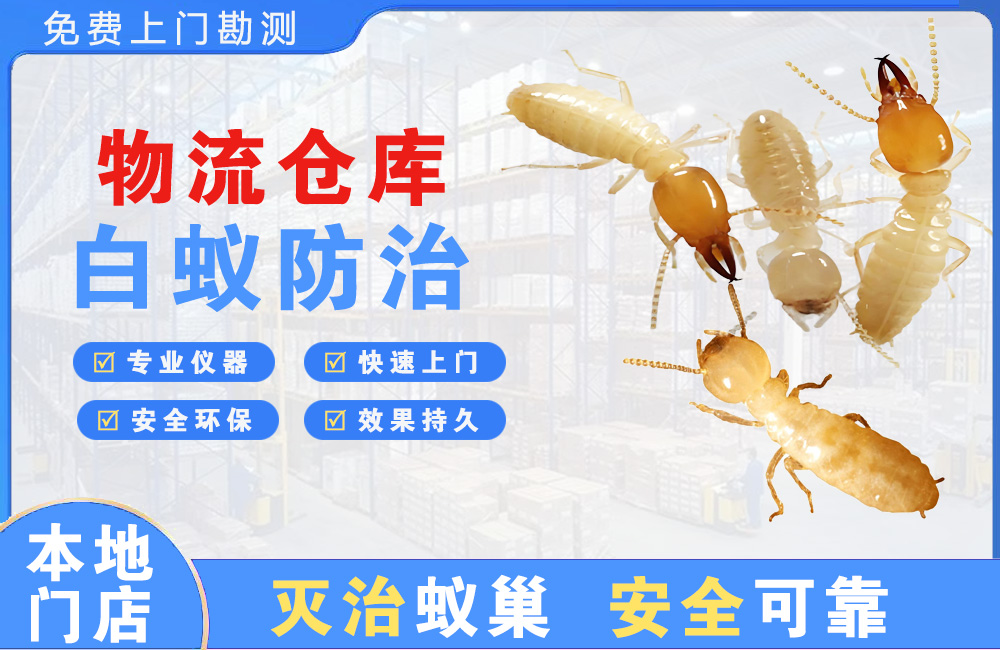 西昌物流仓库白蚁防治