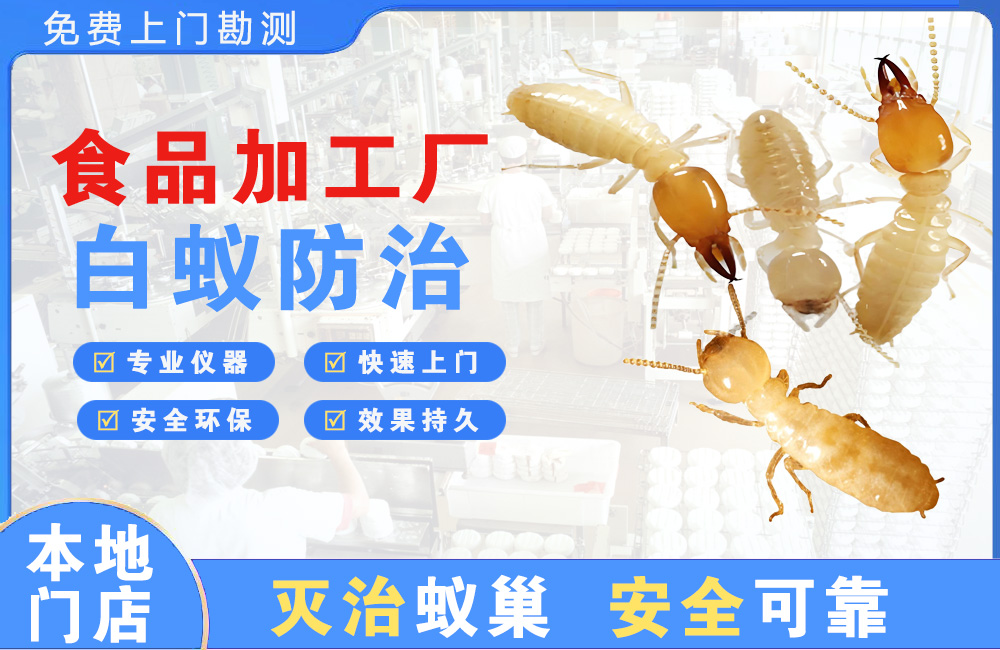 西昌食品加工厂白蚁防治
