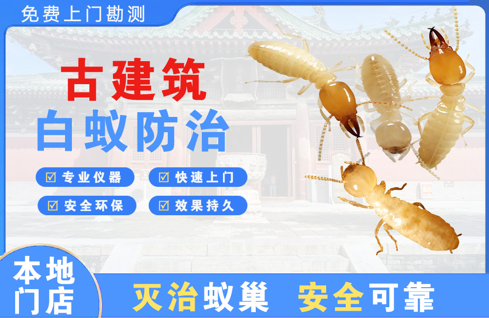 西昌古建筑白蚁防治