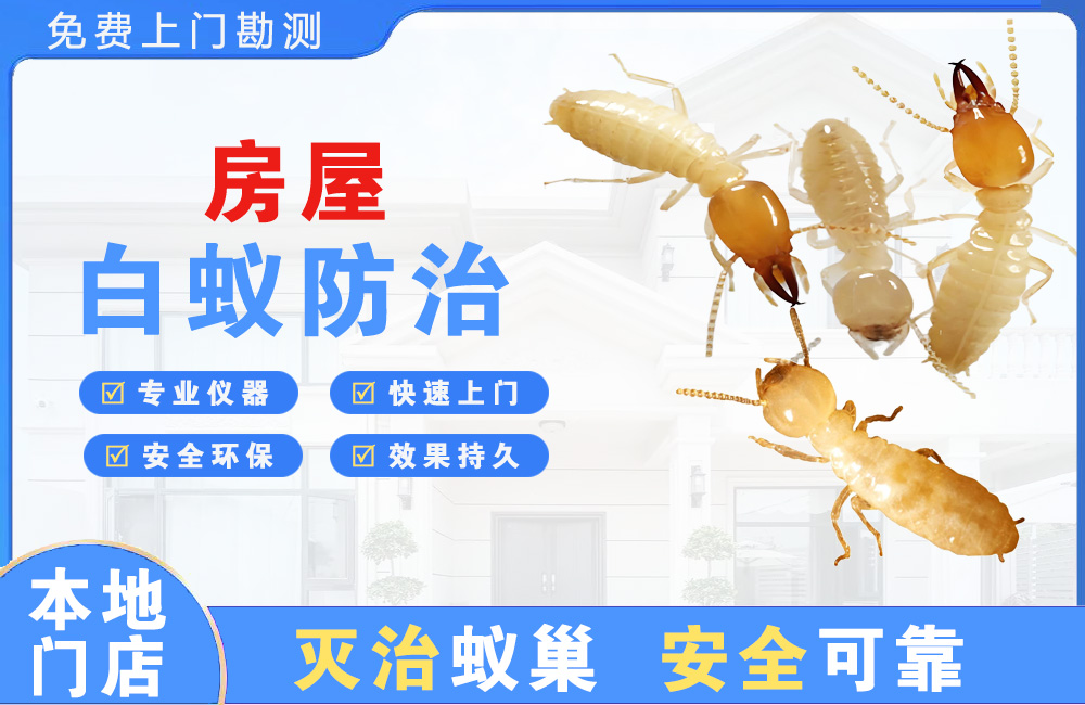 西昌房屋白蚁防治