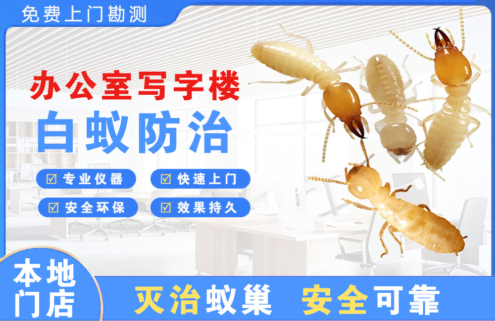 西昌办公室写字楼白蚁防治