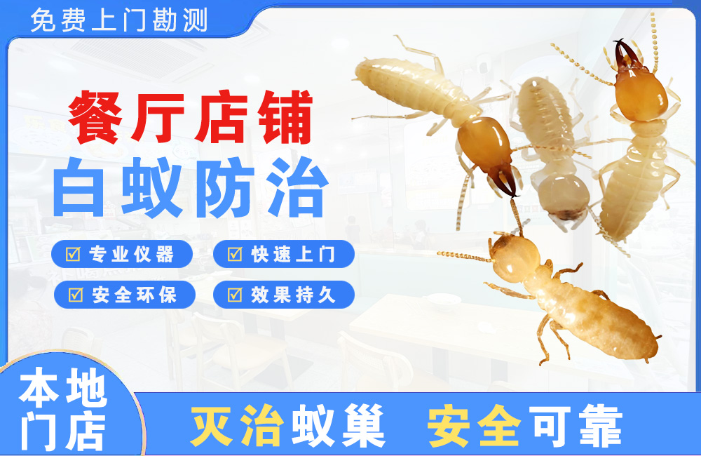西昌餐厅店铺白蚁防治